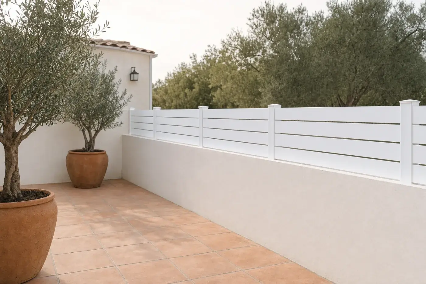 Tanca semi-oberta blanca en un pati amb olivera en test